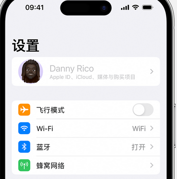 朝阳appleID维修服务iPhone设置中Apple ID显示为灰色无法使用 