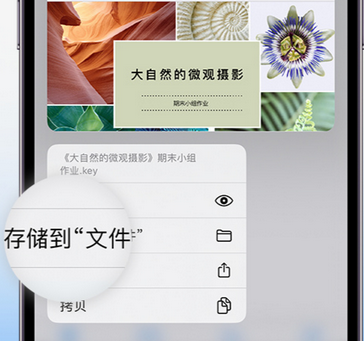 朝阳apple维修中心分享iPhone文件应用中存储和找到下载文件