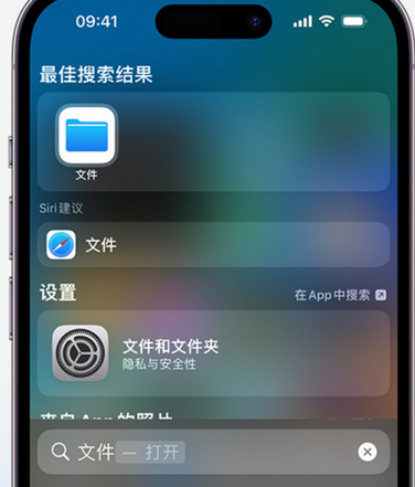 朝阳apple维修中心分享iPhone文件应用中存储和找到下载文件 