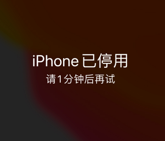 朝阳苹果手机维修分享:iPhone 显示“不可用”或“已停用”怎么办？还能保留数据吗？ 