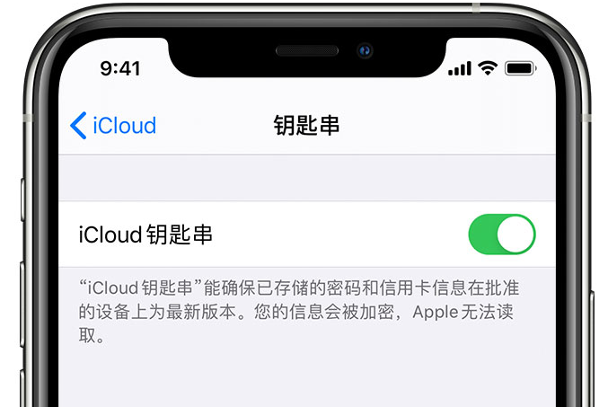 朝阳苹果手机维修分享在 iPhone 上开启 iCloud 钥匙串之后会储存哪些信息 